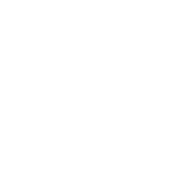 ffg menu icons research